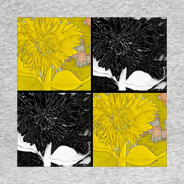 Black and Yellow Square Dahlias by Sarah Curtiss